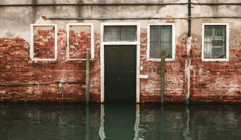 Water Mitigation